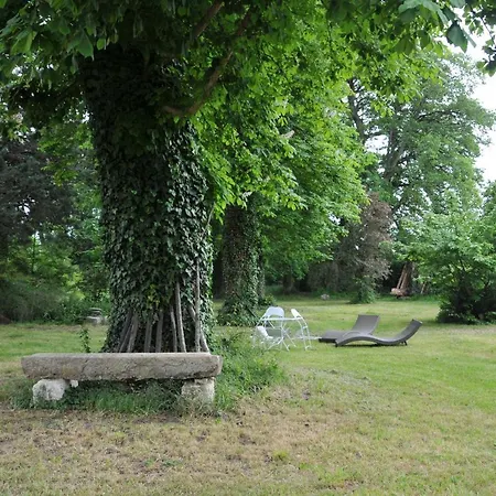 L'orangerie Du Château - Le Nid - 2 Personnes