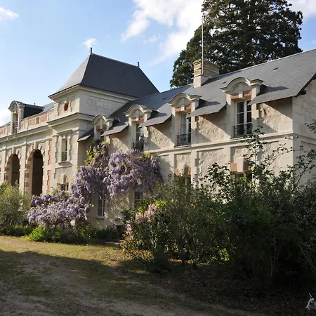 L'orangerie Du Chateau - Le Nid - 2 Personnes Brain-sur-Allonnes