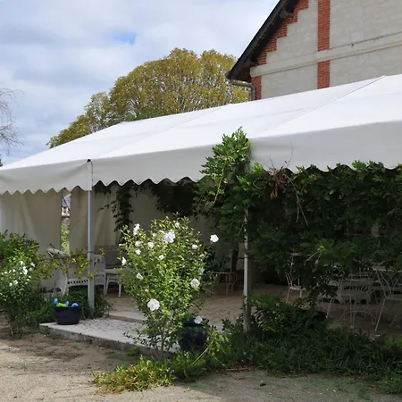L'orangerie Du Chateau - Le Nid - 2 Personnes * Brain-sur-Allonnes