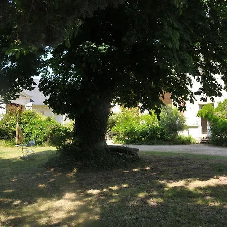 L'orangerie Du Chateau - Le Nid - 2 Personnes Appartamento Brain-sur-Allonnes