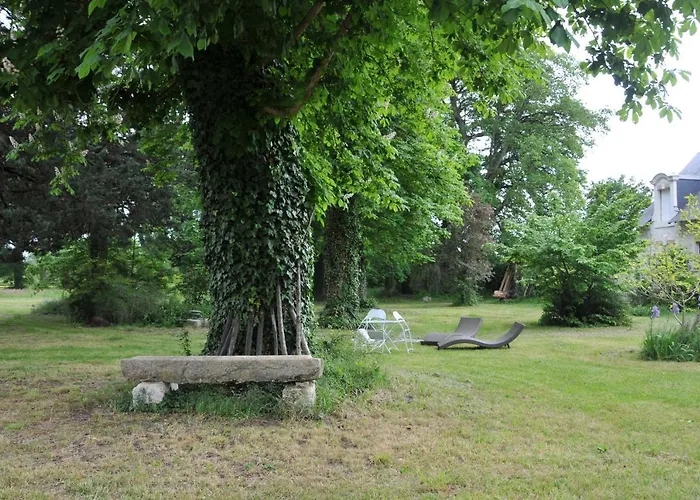 L'orangerie Du Château - Le Nid - 2 Personnes